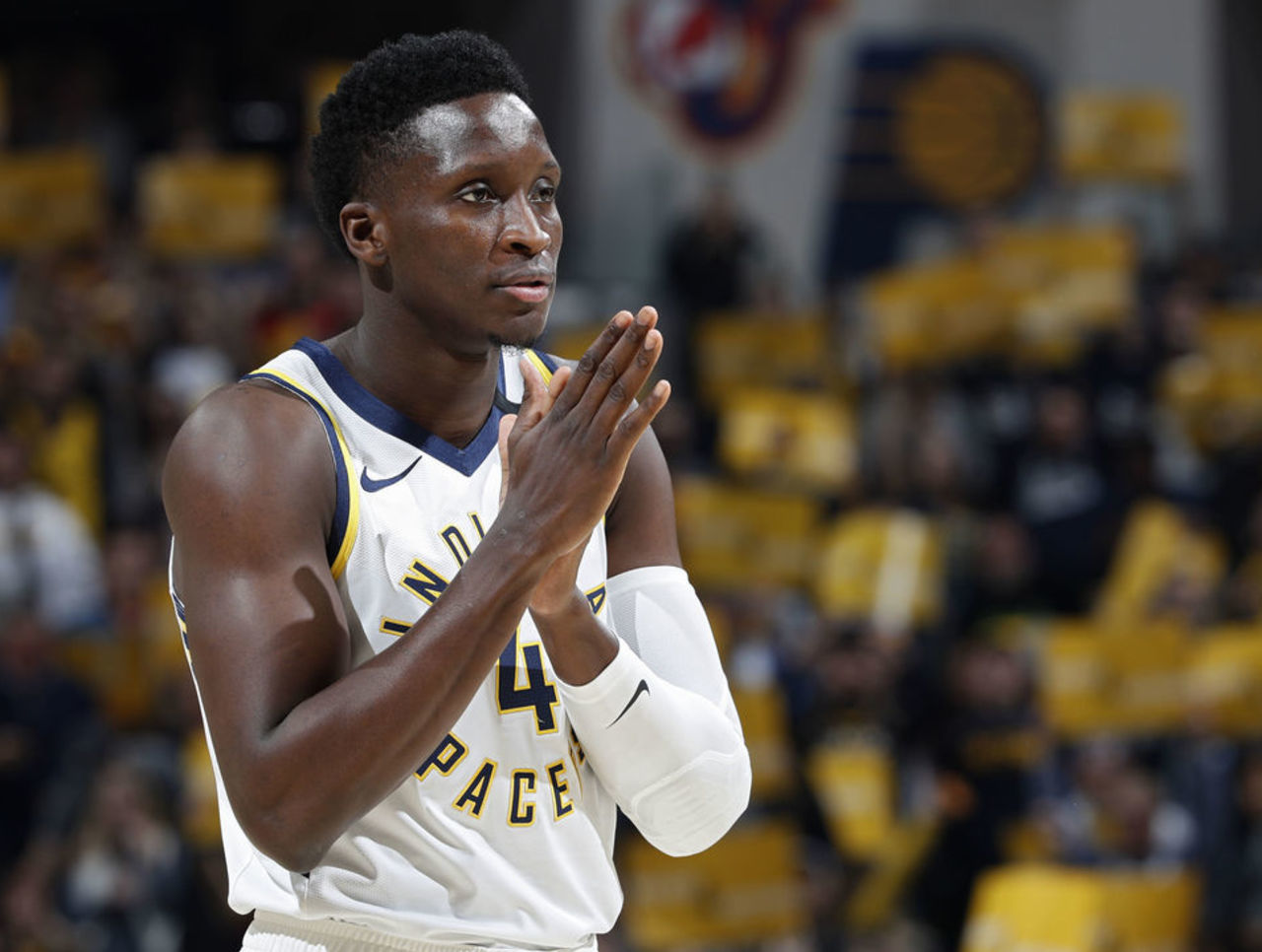 郑钦文借鉴 郑钦文借鉴