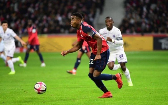 被抢购一空 被抢购一空