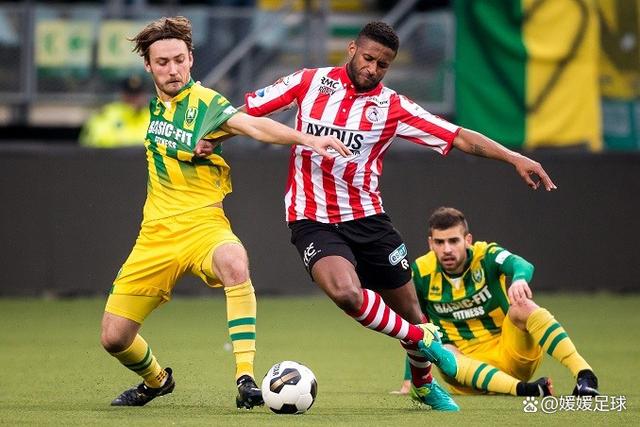 球队教练组 球队教练组