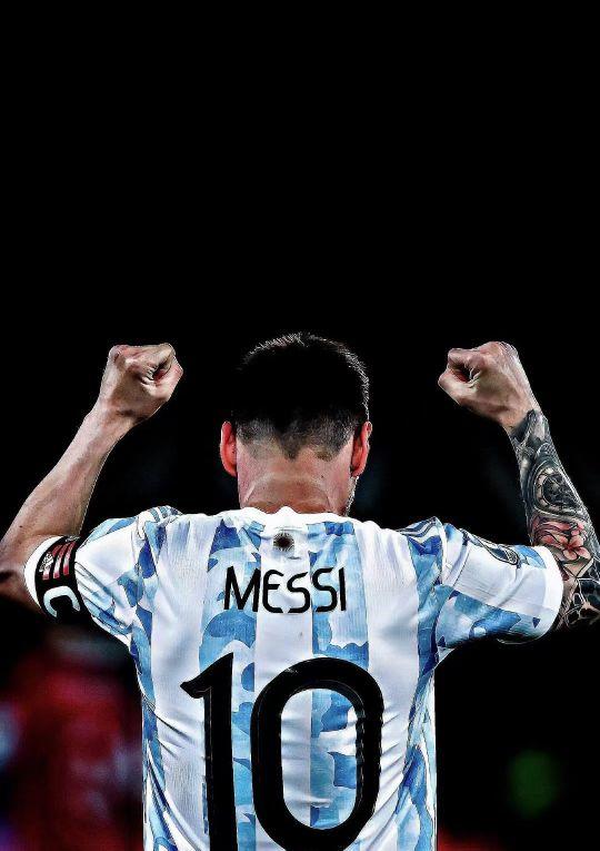 以减少类似 以减少类似