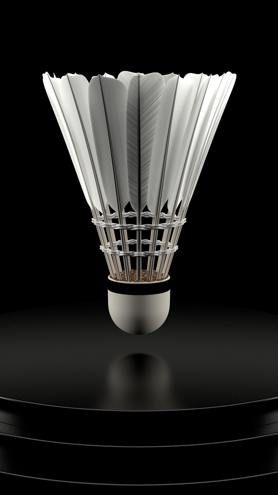 德里的直接 德里的直接