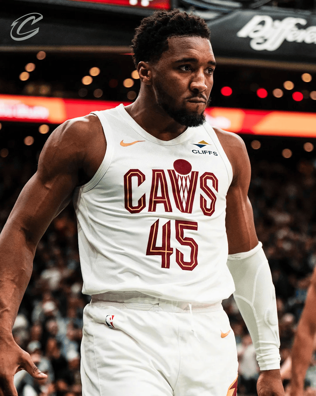 的心理韧性 的心理韧性