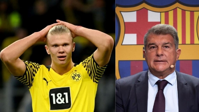 美拳手而言 美拳手而言